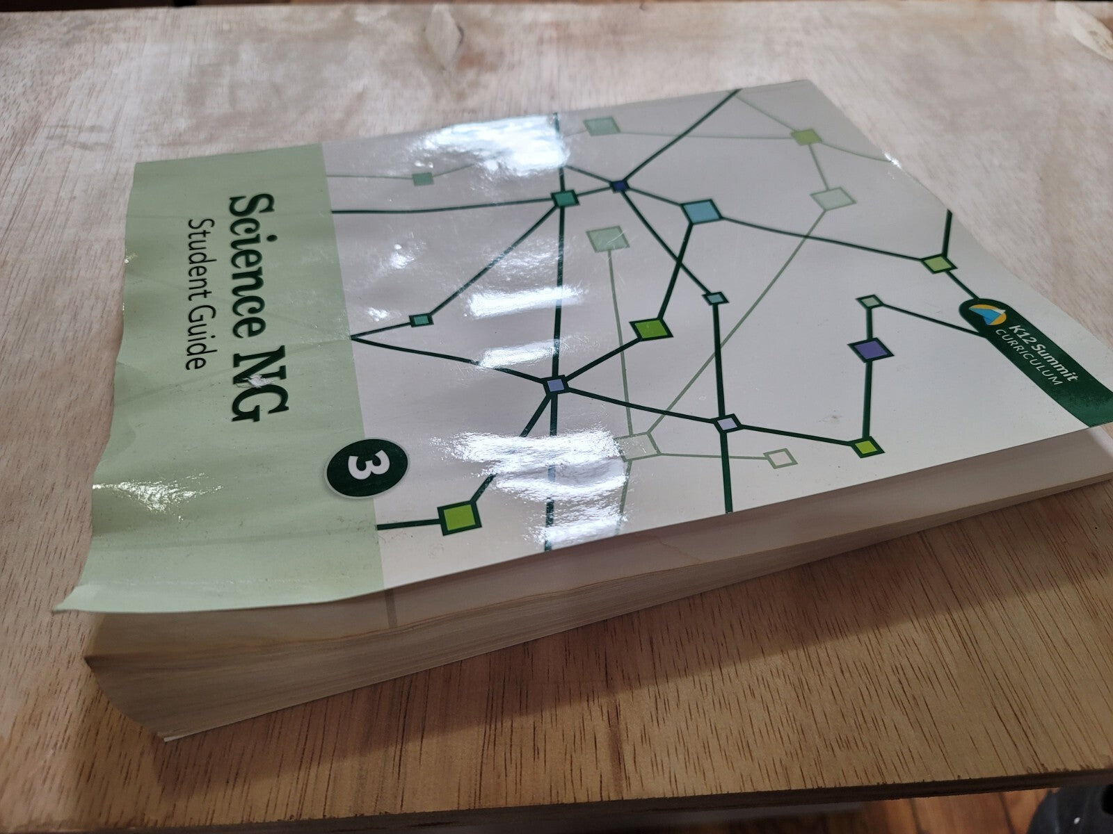 2019 Science NG Student Guide Grade 4 (K12 Summit Curriculum) B12 Acceptable