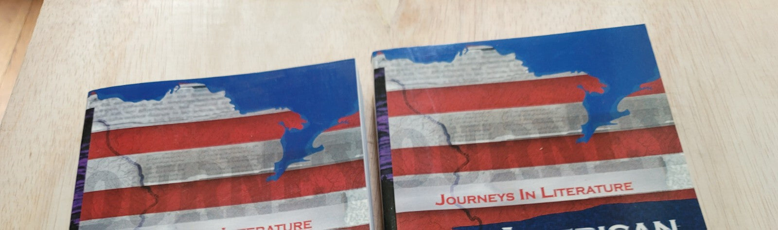 2  Of The Same Book Journeys In Literature (American Traditions) C Paperback B12